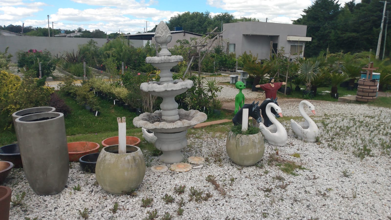 MERCADO DAS PLANTAS/ BAIRRO AEROPORTO